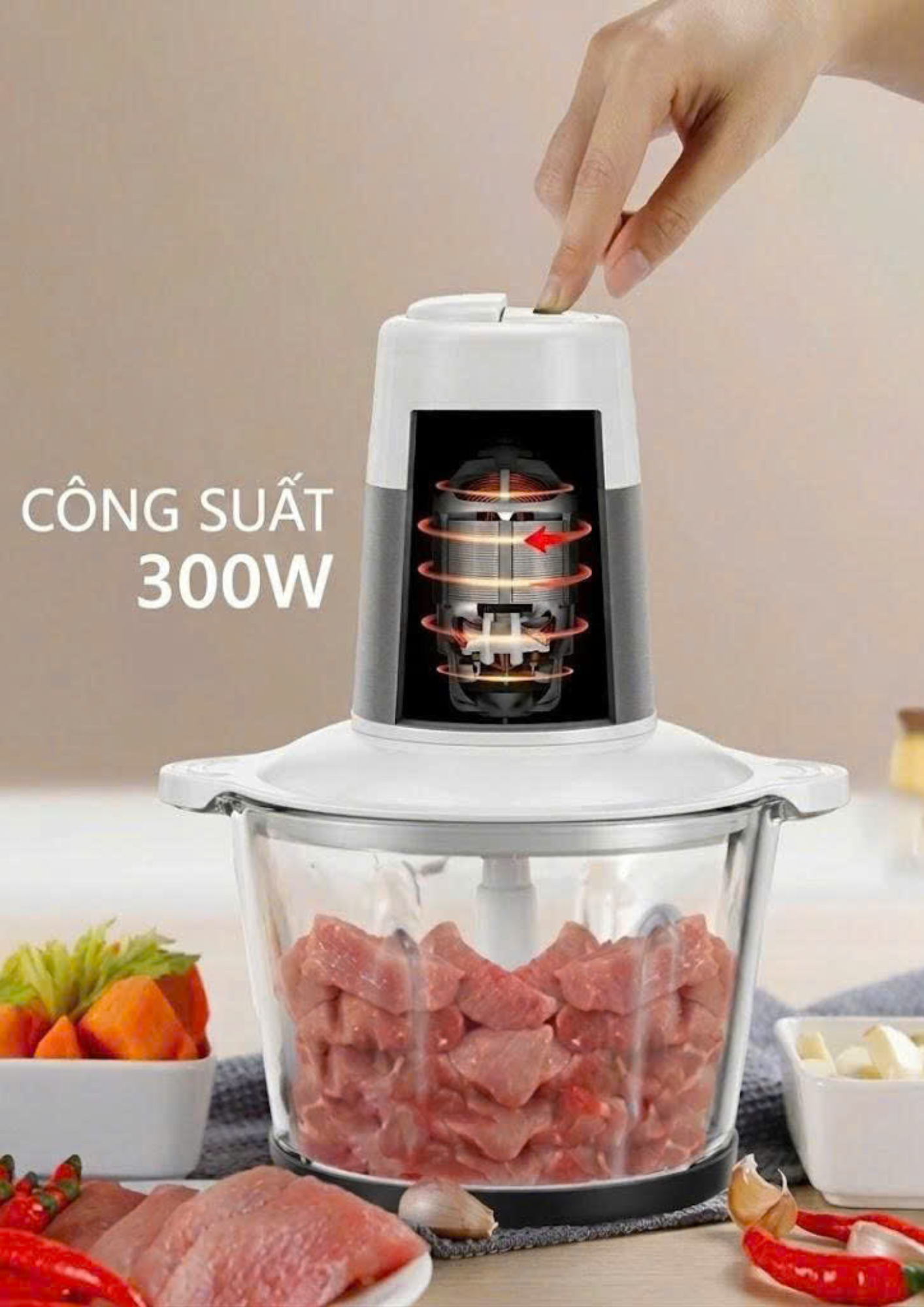 MÁY XAY THỊT ĐA NĂNG